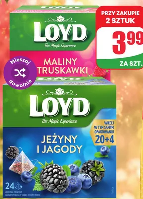 Herbatka owocowa Loyd Jeżyny i Jagody promocja w Dino