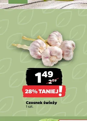 Czosnek świeży promocja w Netto