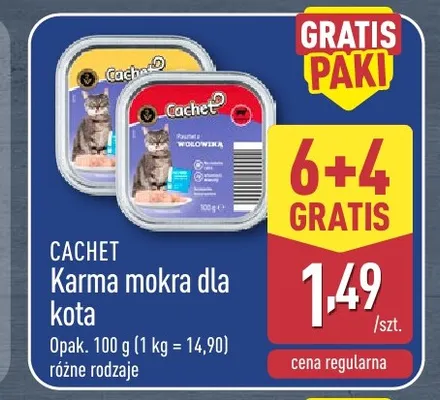 Karma mokra dla kota Cachet 10-pak promocja w Aldi
