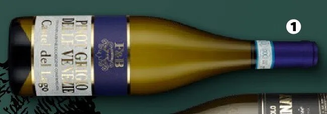Wino Castel del Lago Pinot Grigio białe wytrawne promocja w Netto