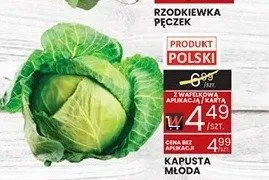 Kapusta młoda polska promocja w Wafelek