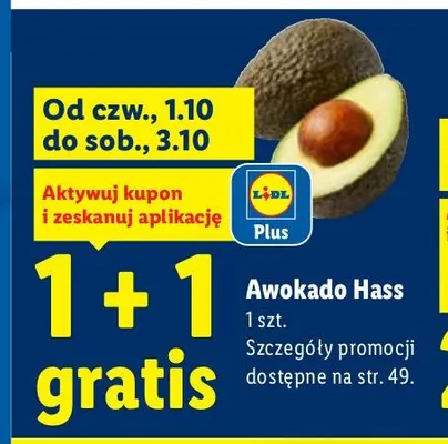 Awokado Hass promocja w Lidl