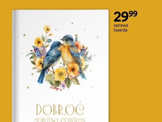 Książka Dobroć. Modlitwy codzienne Paulina Płatkowska oprawa twarda promocja w Empik