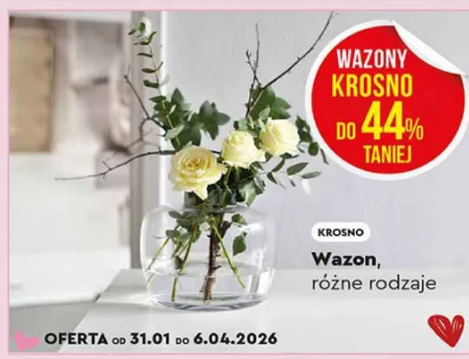 Wazon różne rodzaje promocja w Biedronka