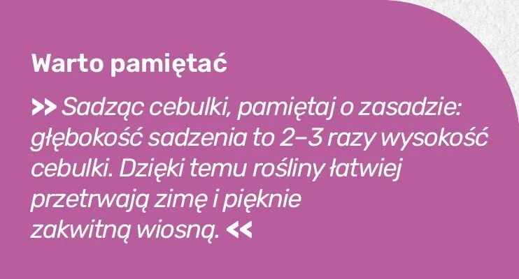 Katalog ogród, strona 129 promocja w Bricomarche