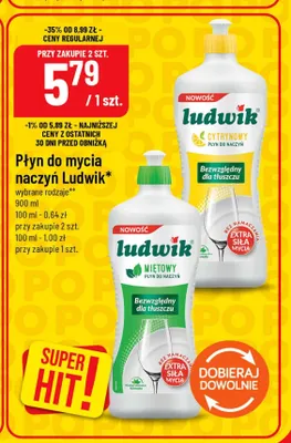 Płyn do mycia naczyń Ludwik miętowy promocja w POLOmarket
