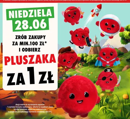 Maskotka pluszowa promocja w Intermarche