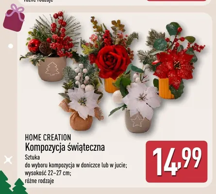 Kompozycja świąteczna w doniczce Home Creation promocja w Aldi