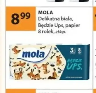 Papier MOLA Będzie Ups promocja w Drogerie Laboo