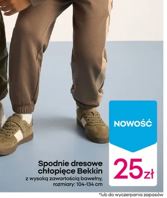 Spodnie dresowe chłopięce Bekkin z wysoką zawartością bawełny promocja w Pepco