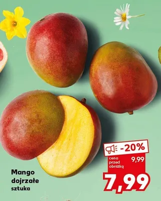 Mango dojrzałe sztuka promocja w Kaufland