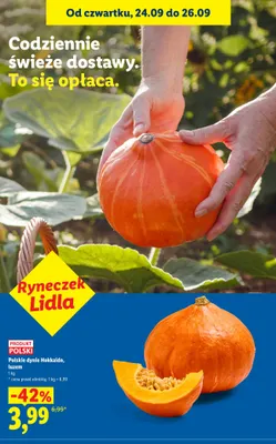 Dynia Hokkaido luzem Ryneczek Lidla promocja w Lidl