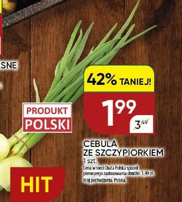 Cebula ze szczypiorkiem polska promocja w Chata Polska