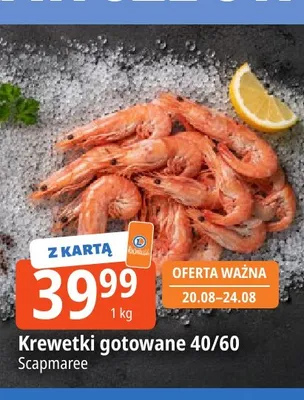 Krewetki gotowane Scapmaree promocja w Leclerc