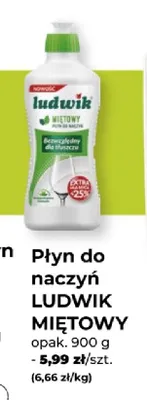Płyn do naczyń LUDWIK MIĘTOWY promocja w PSB Mrówka