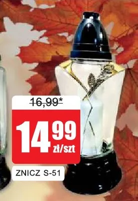 Znicz S-51 promocja w Bingo
