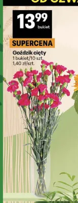 Goździk cięty promocja w Delikatesy Centrum