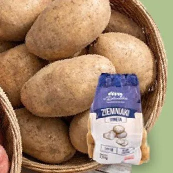 Ziemniak jadalny Vineta polski promocja w Netto