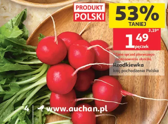 Rzodkiewka polska promocja w Auchan