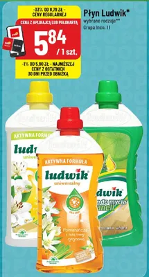 Płyn Ludwik promocja w POLOmarket