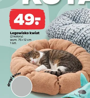 Legowisko kwiat 75x12 cm promocja w Netto