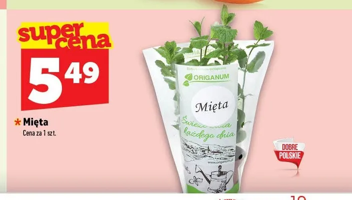Mięta promocja w TOPAZ