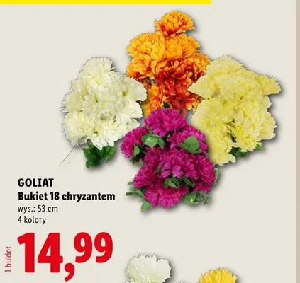 Bukiet 18 chryzantem Goliat 53 cm promocja w Lidl