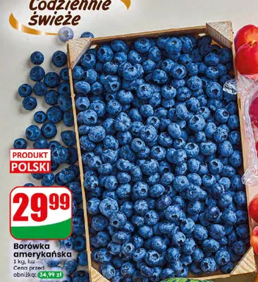 Borówka amerykańska promocja w Dino