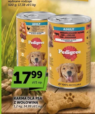 Karma dla psa Pedigree Adult z kurczakiem i marchewką w galaretce promocja w ABC