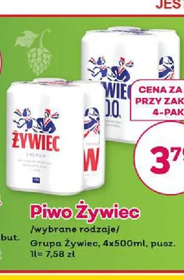 Piwo Żywiec 4-pak promocja w Bliski