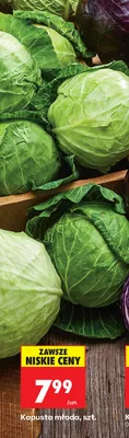 Kapusta młoda 1 szt. promocja w Biedronka
