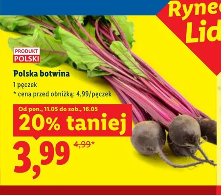 Polska botwina promocja w Lidl