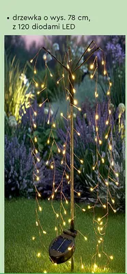 Lampa solarna LED drzewko promocja w Biedronka