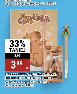 Korektor w taśmie Kapibara promocja w bi1