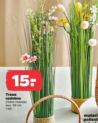 Trawa ozdobna promocja w Netto