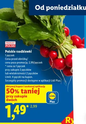 Polskie rzodkiewki promocja w Lidl