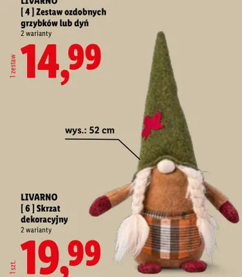 Skrzat dekoracyjny Livarno promocja w Lidl