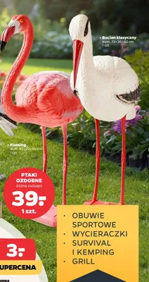 Ptaki ozdobne - bocian klasyczny promocja w Netto
