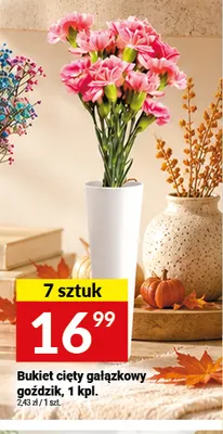 Bukiet cięty gałązkowy goździk promocja w Twój Market