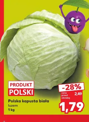 Kapusta biała polska promocja w Kaufland