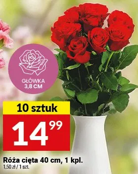 Róża cięta 40 cm promocja w Twój Market
