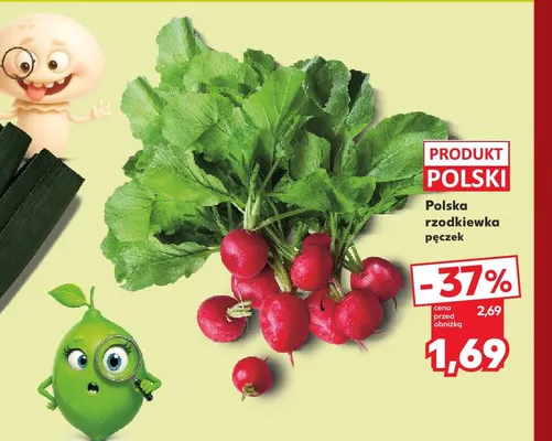 Rzodkiewka polska promocja w Kaufland