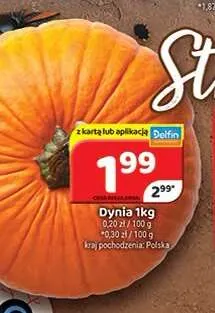 Dynia promocja w Delfin