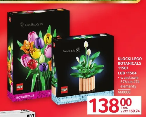 Klocki LEGO Botanicals 11504 promocja w Selgros