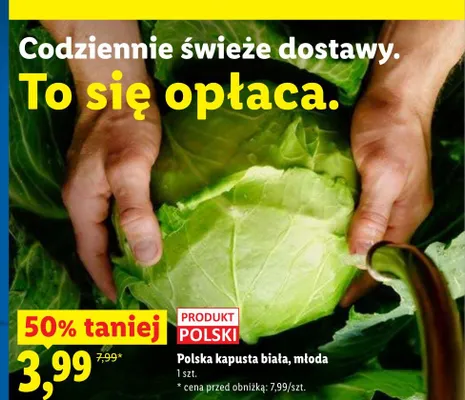 Kapusta biała młoda polska promocja w Lidl