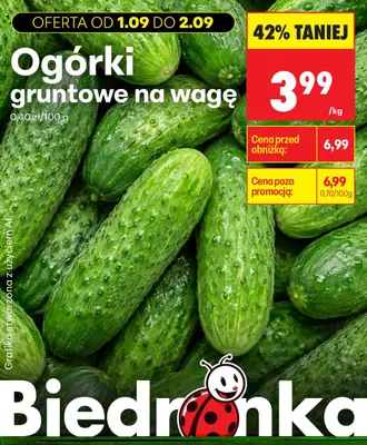 Ogórki gruntowe promocja w Biedronka