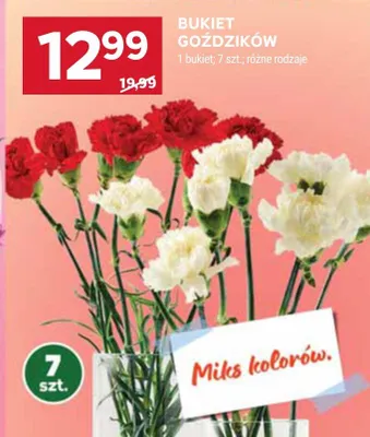 Bukiet goździków 7szt różne rodzaje promocja w Stokrotka