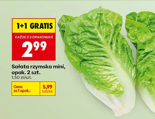 Sałata rzymska mini 2 szt. 1+1 GRATIS promocja w Biedronka