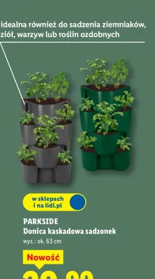 Donica kaskadowa sadzonek wys.: ok. 63cm promocja w Lidl