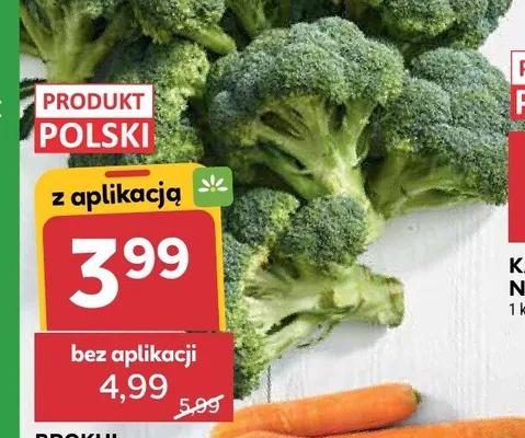 Brokuł promocja w Stokrotka